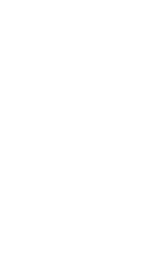 Logo Toonelstuk